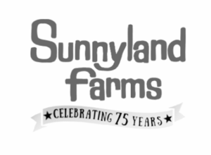 sunnyland